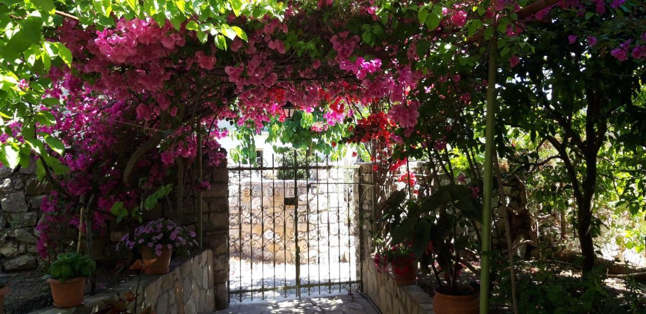 Villa Kiki Paxos Ozias Гайос Екстериор снимка