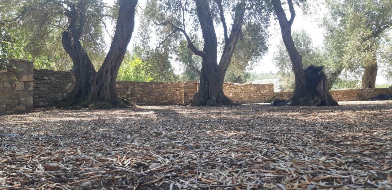 Villa Kiki Paxos Ozias Гайос Екстериор снимка