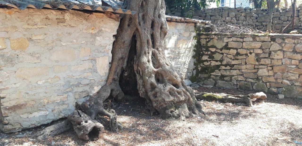 Villa Kiki Paxos Ozias Гайос Екстериор снимка